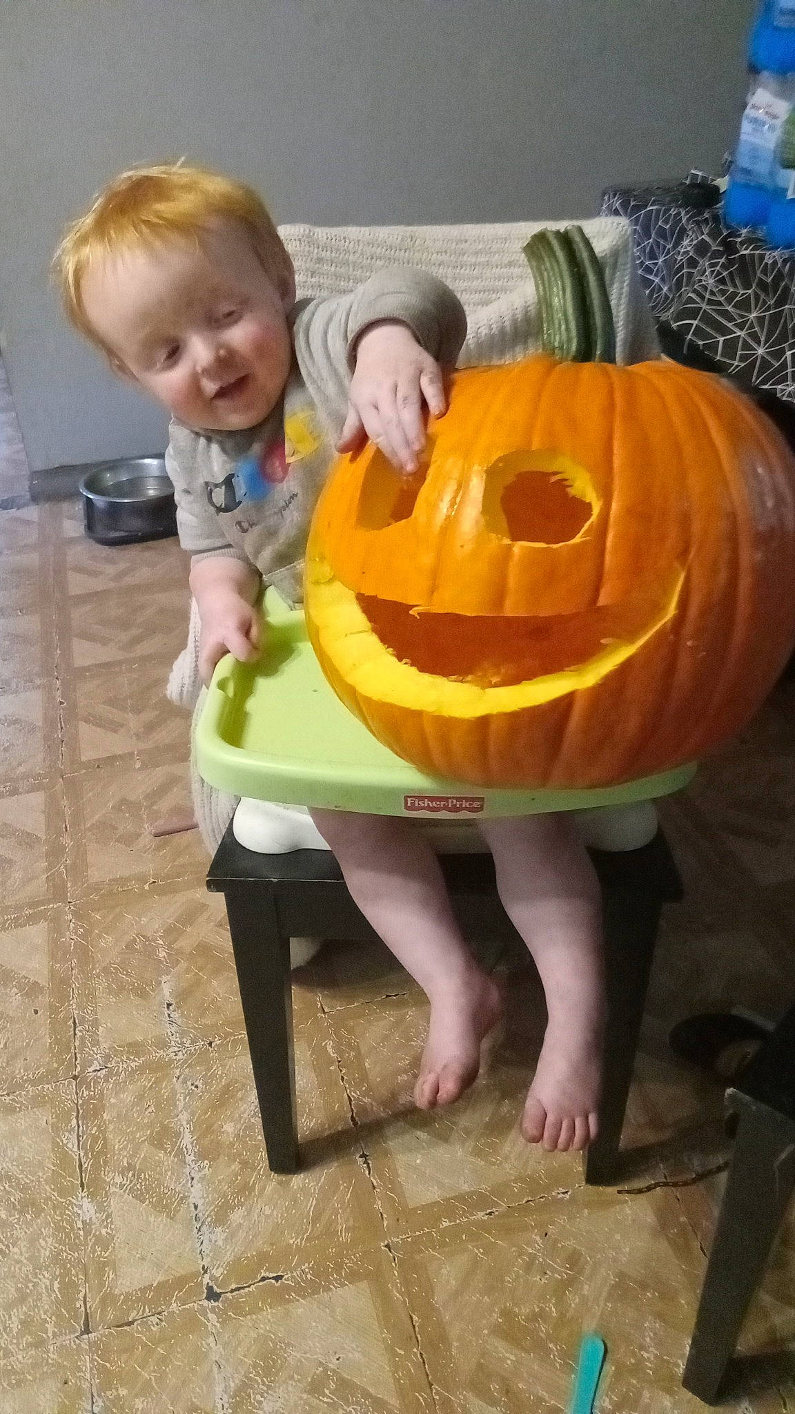 Clint is registered to the contest to win money with this photo: baby_toddler_clothing, calabaza, child, cucurbita, eye, face, flooring, gourd, hair, head, leg, orange, person, plant, pumpkin, shorts, table, toddler, vegetable, winter_squash