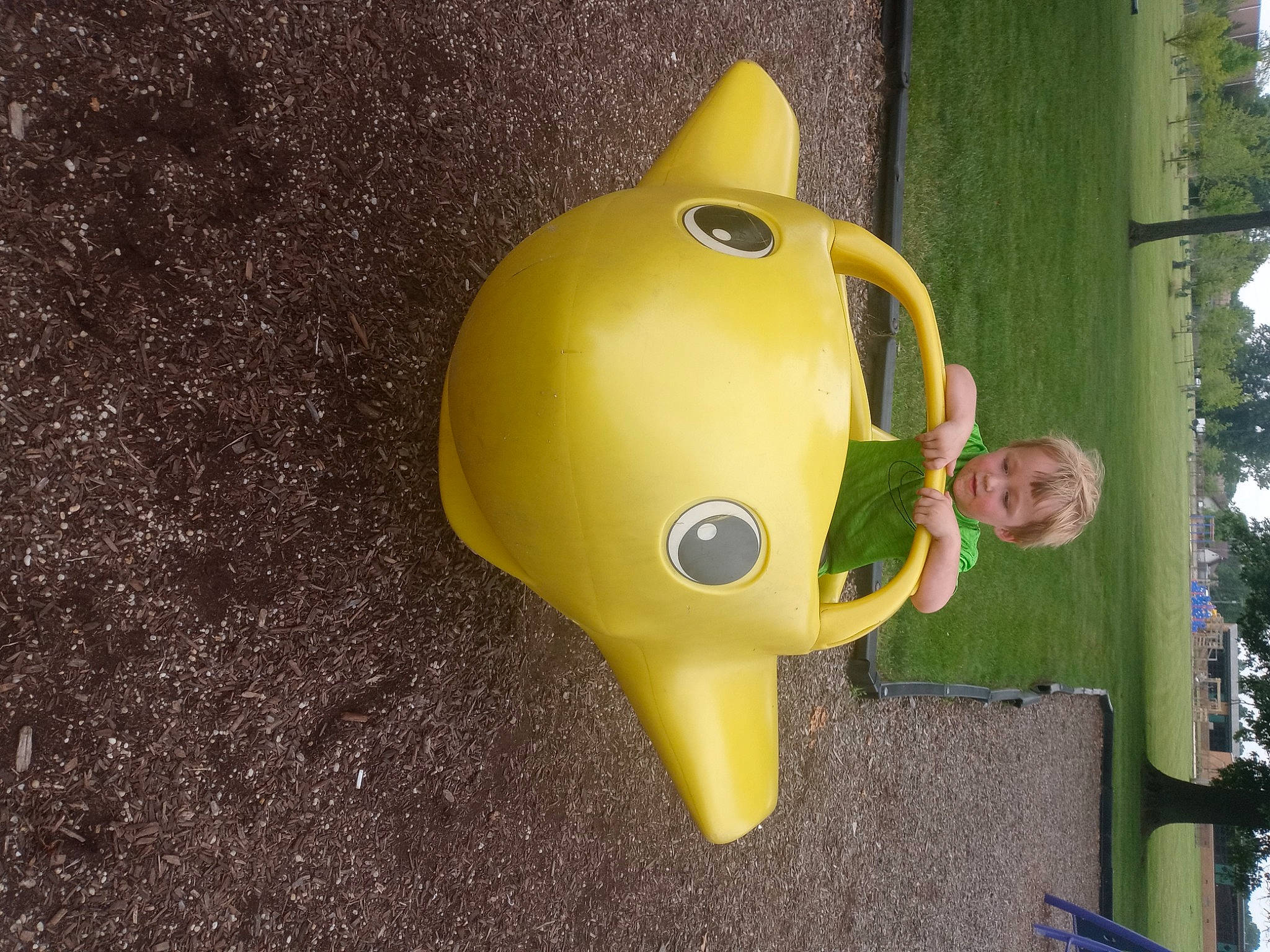 Caleb joined the competition — help win amazing prizes! _geese_and_swans, art, balloon, ducks, fun, grass, happy, inflatable, leisure, person, personal_protective_equipment, plant, recreation, snout, toy, tree