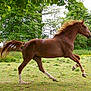 Sagesse de Grace participe au concours pour gagner de l'argent avec cette photo :