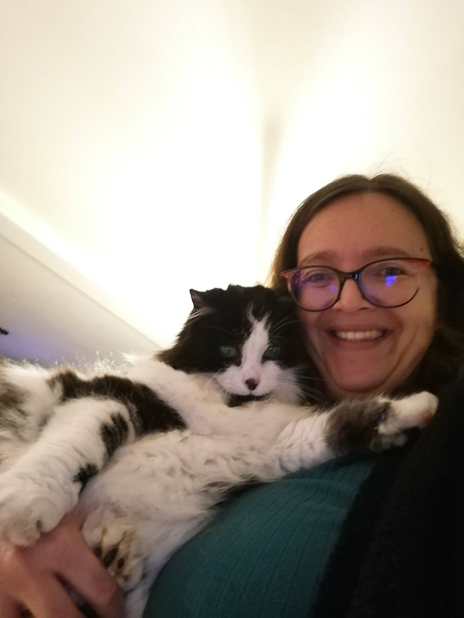 Bounty participe au concours pour gagner de l'argent avec cette photo : beard, black_hair, carnivore, cat, comfort, eye, eyebrow, eyewear, felidae, gesture, glasses, hair, happy, head, iris, lap, long_hair, small_to_medium_sized_cats, smile, whiskers