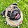 Romy