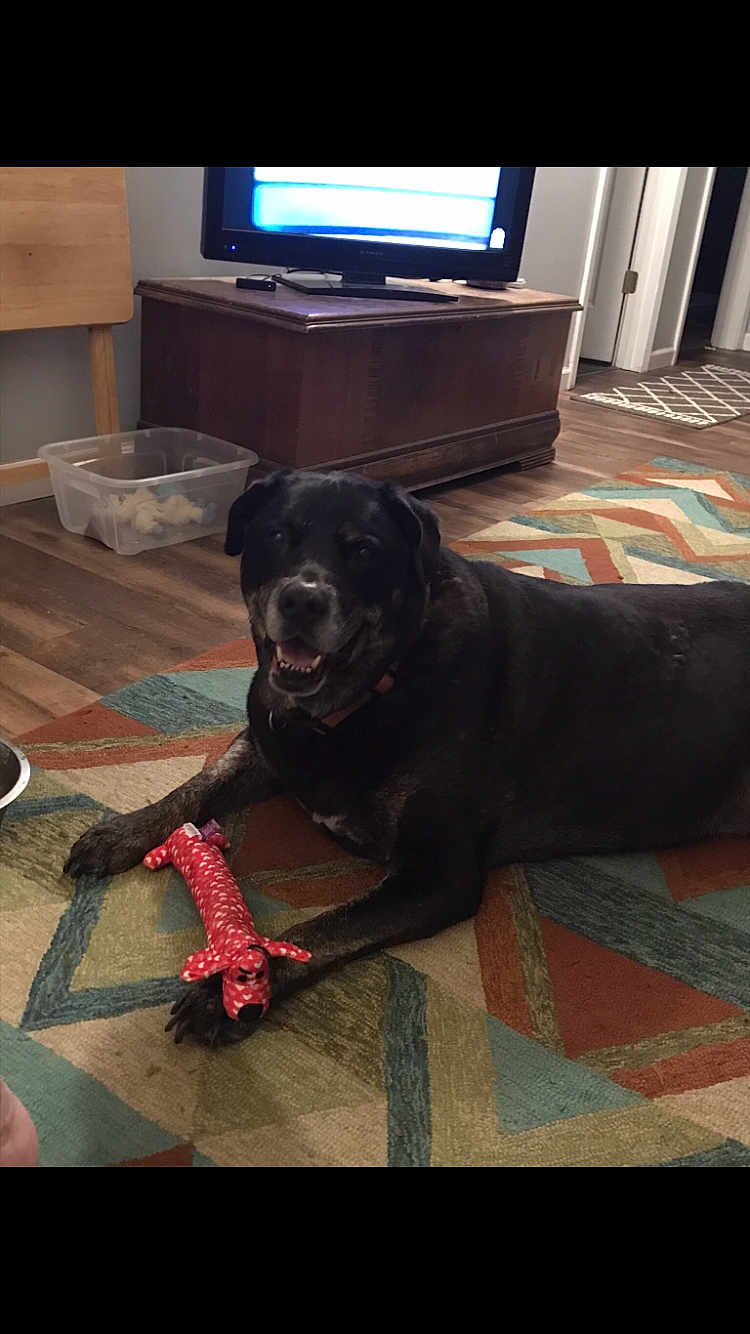 Otis
