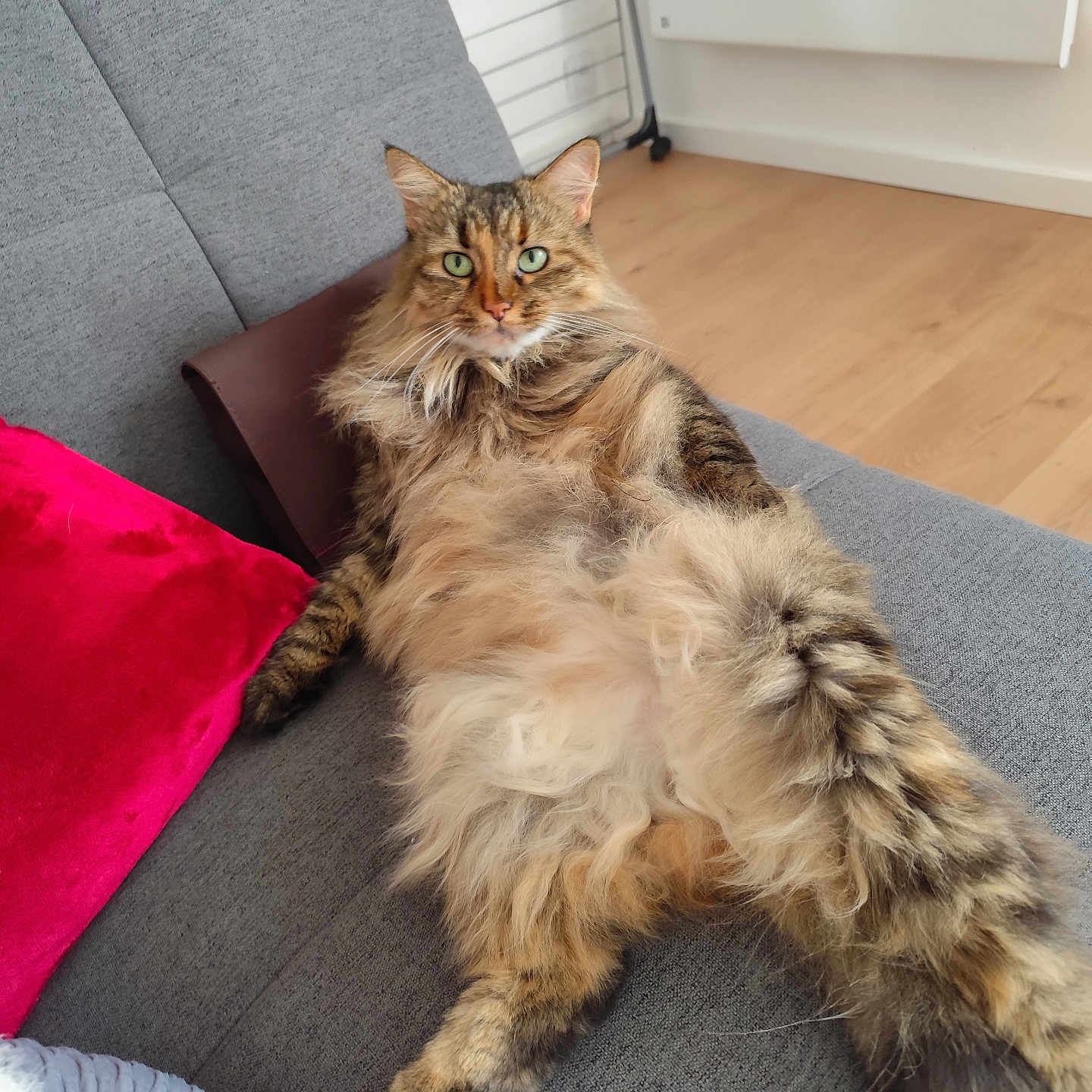 Louna