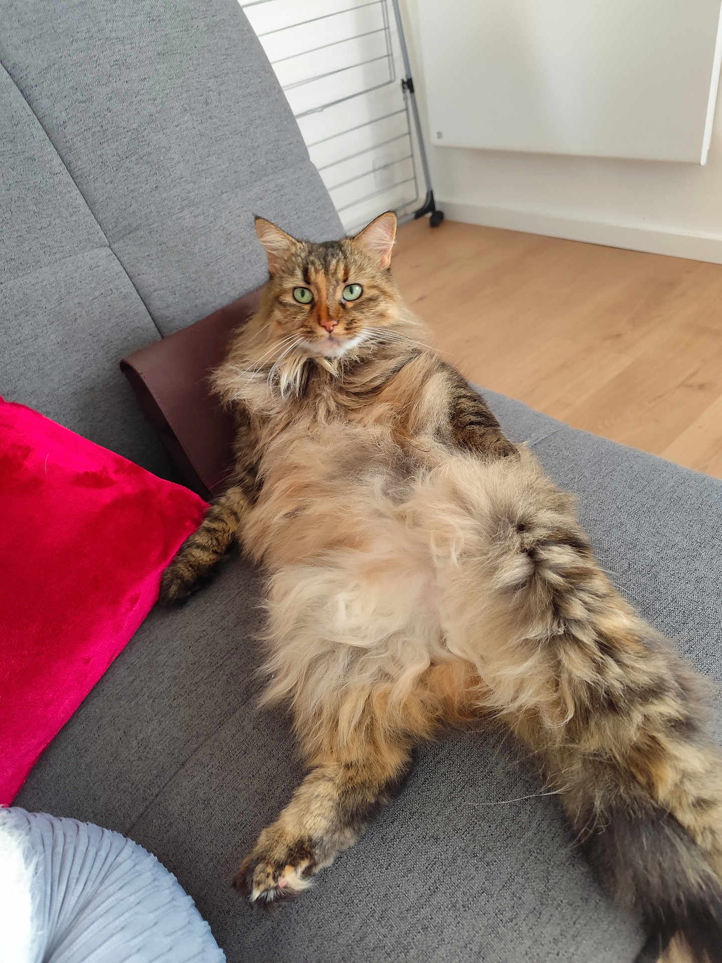 Louna