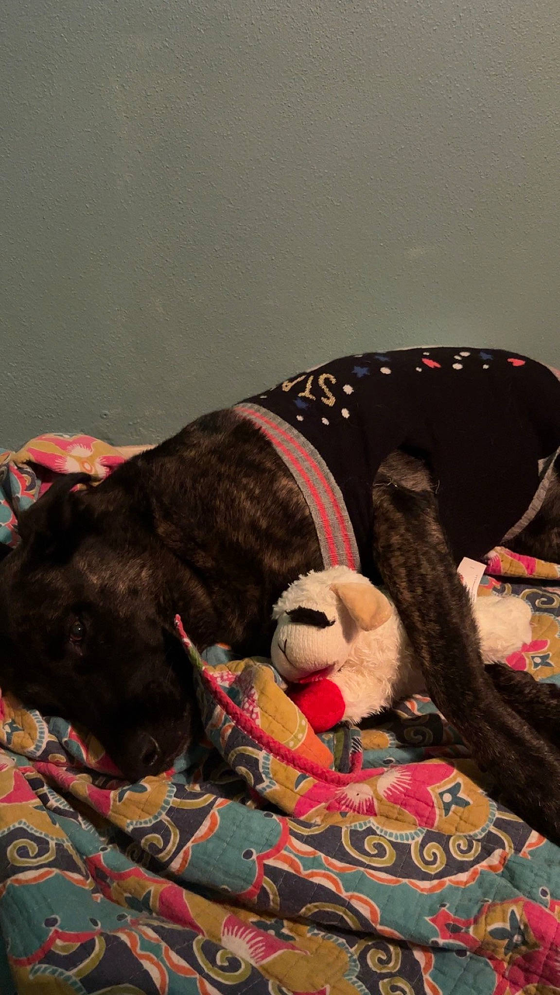 Sir Duke joined the competition — help win amazing prizes! art, canidae, carmine, carnivore, collar, comfort, companion_dog, dog, dog_breed, fawn, fur, linens, pattern, plush, sporting_group, stuffed_toy, teddy_bear, toy, wool, working_animal