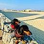 dog, dachshund, canine, pet, harness, leash, beach, sand, rock_wall, sunlight, outdoor, daytime, clear_sky, blue_sky, animal, two_dogs, panting, walk, summer, vacation