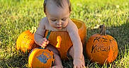 Caysen Journey is registered to the contest to win money with this photo: baby, child, pumpkin, halloween, outdoor, grass, autumn, fall, portrait, sitting, infant, face, blonde_hair, nature, sunlight, field, orange, harvest, seasonal, photography
