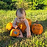baby, child, pumpkin, halloween, outdoor, grass, autumn, fall, portrait, sitting, infant, face, blonde_hair, nature, sunlight, field, orange, harvest, seasonal, photography