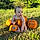 Caysen Journey
