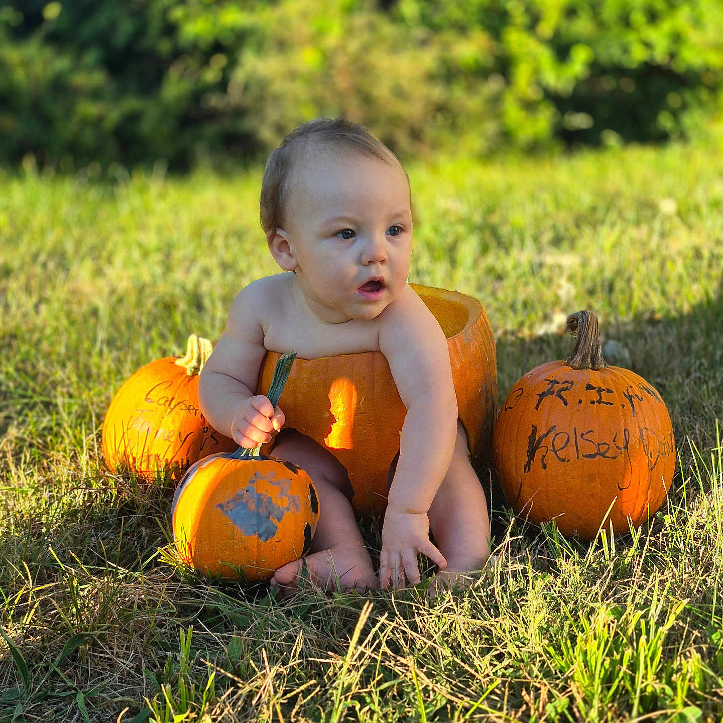 Caysen Journey joined the competition — help win amazing prizes! baby, child, pumpkin, autumn, fall, outdoor, grass, field, nature, portrait, sitting, infant, smiling, sunlight, greenery, orange, harvest, seasonal, family_photo, cute