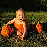 baby, child, infant, pumpkin, halloween, autumn, outdoor, grass, nature, portrait, sitting, barefoot, sunlight, golden_hour, orange, seasonal, harvest, curious, adorable, photography