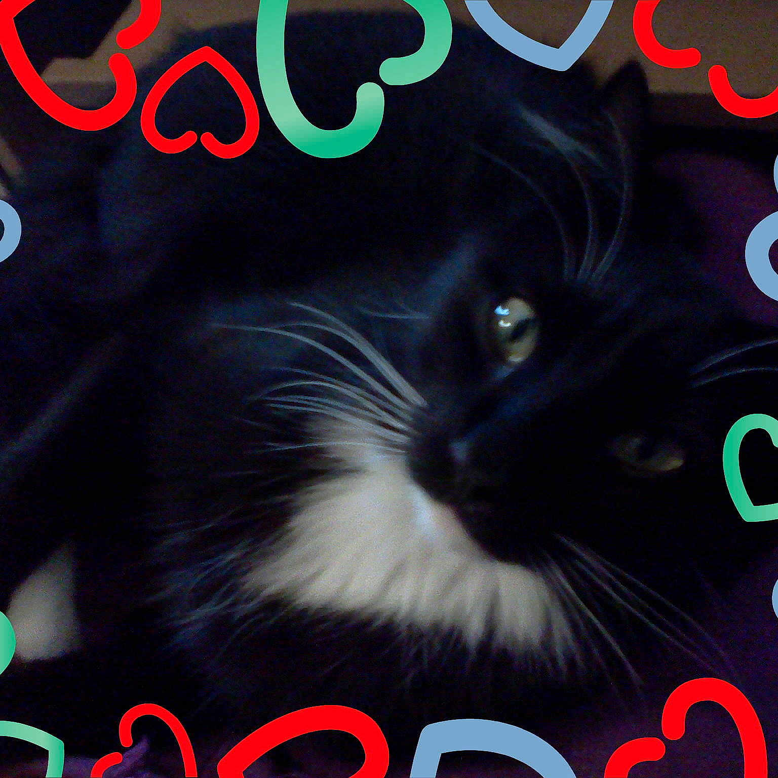Mittens