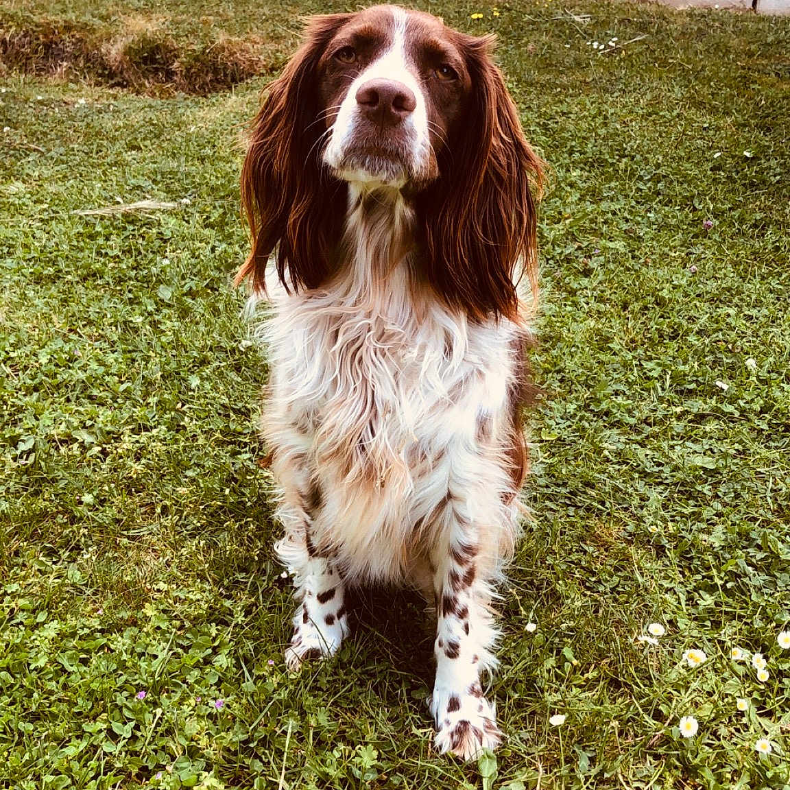 Maddy