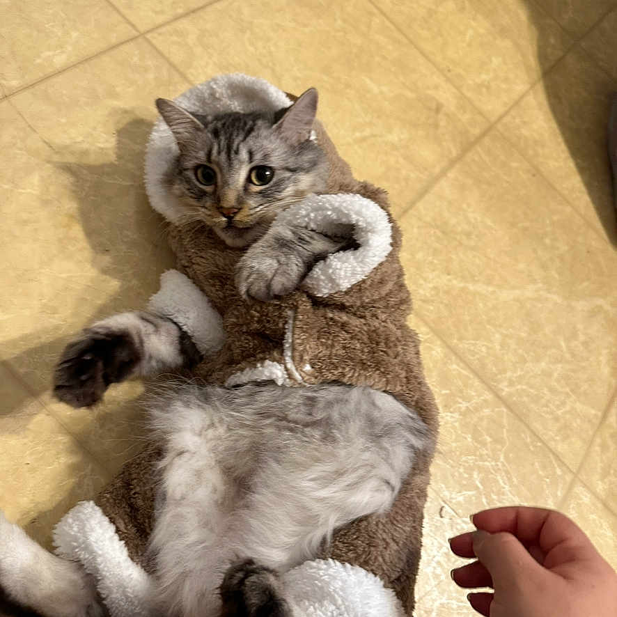 Luna
