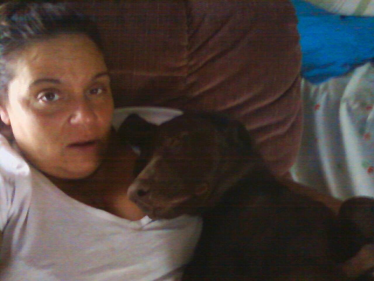 Dc Fatty joined the competition — help win amazing prizes! canidae, carnivore, child, comfort, companion_dog, dog_breed, ear, fawn, felidae, fur, gesture, jaw, lap, long_hair, nap, nose, small_to_medium_sized_cats, snout, sporting_group, whiskers