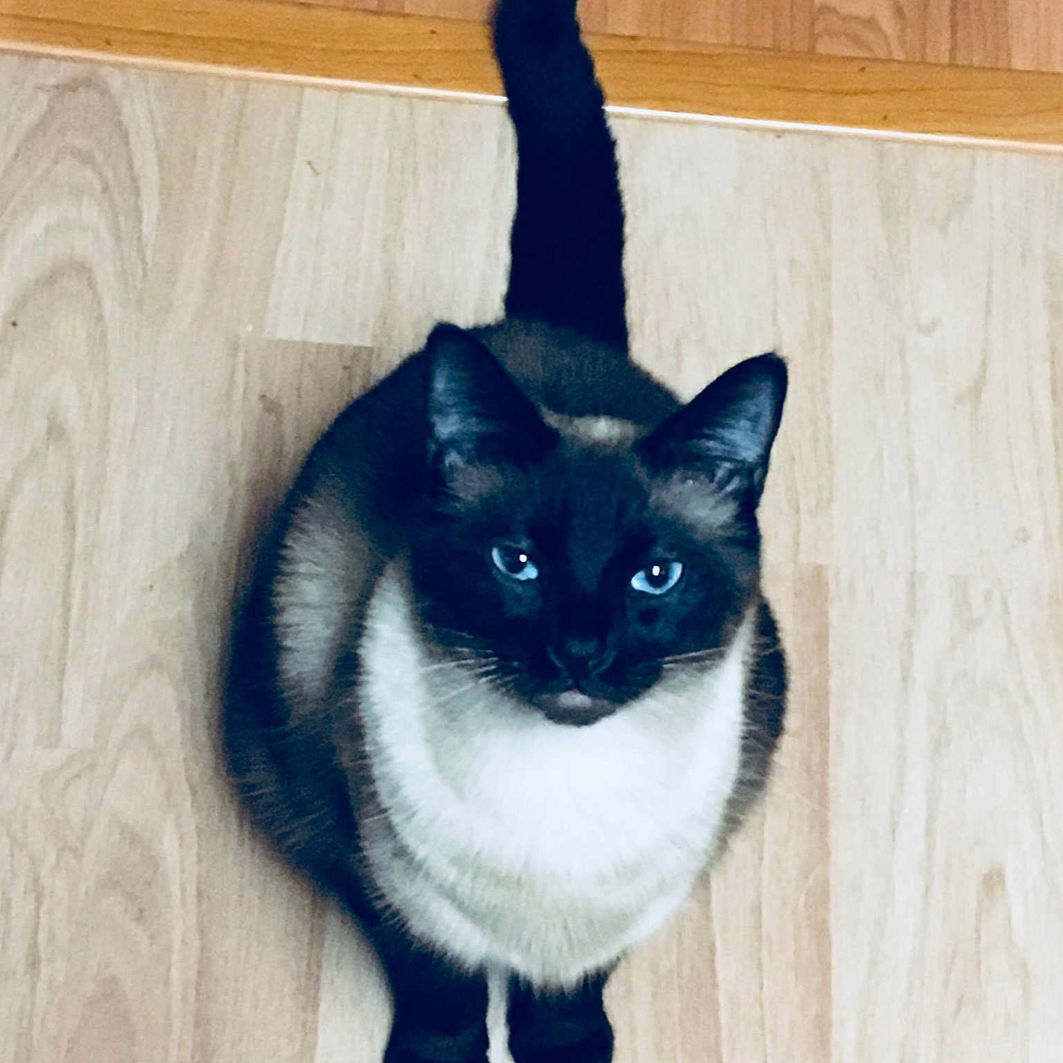 Lucy