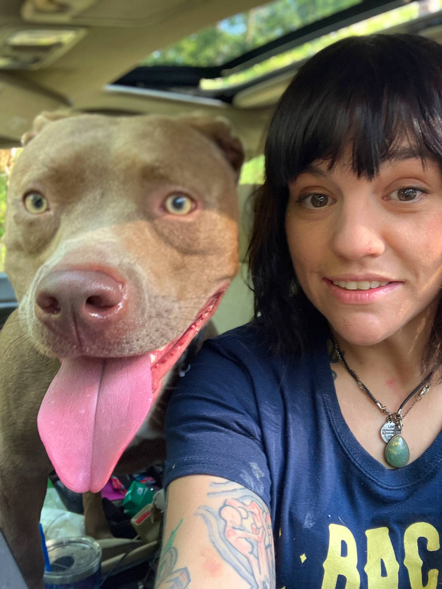 Pituli joined the competition — help win amazing prizes! bangs, carnivore, companion_dog, dog, dog_breed, eyelash, fawn, fun, happy, hat, jaw, leisure, mouth, nose, organ, skin, smile, sporting_group, t_shirt, working_animal