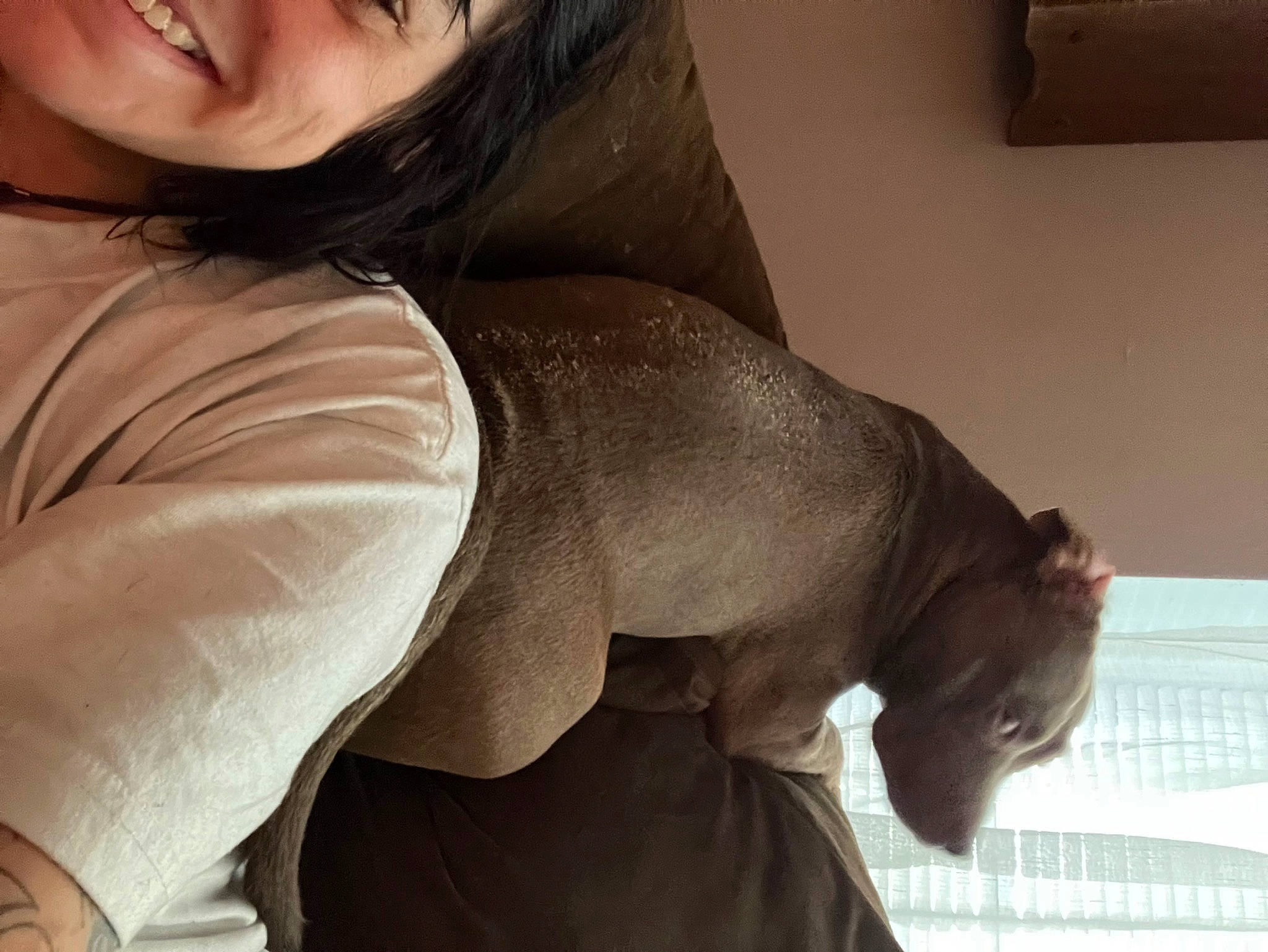 Pituli joined the competition — help win amazing prizes! arm, beard, chest, comfort, elbow, eyelash, flash_photography, gesture, happy, head, human_body, knee, neck, shoulder, sleeve, smile, sunglasses, textile, thigh, waist