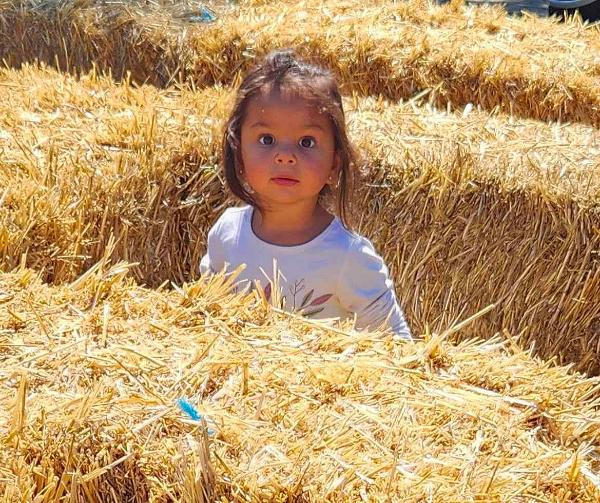Makayla is registered to the contest to win money with this photo: adaptation, agriculture, cash_crop, crop, ecoregion, event, field, grass, grass_family, grassland, happy, harvest, hay, mammal, people, people_in_nature, person, plant, prairie, soil