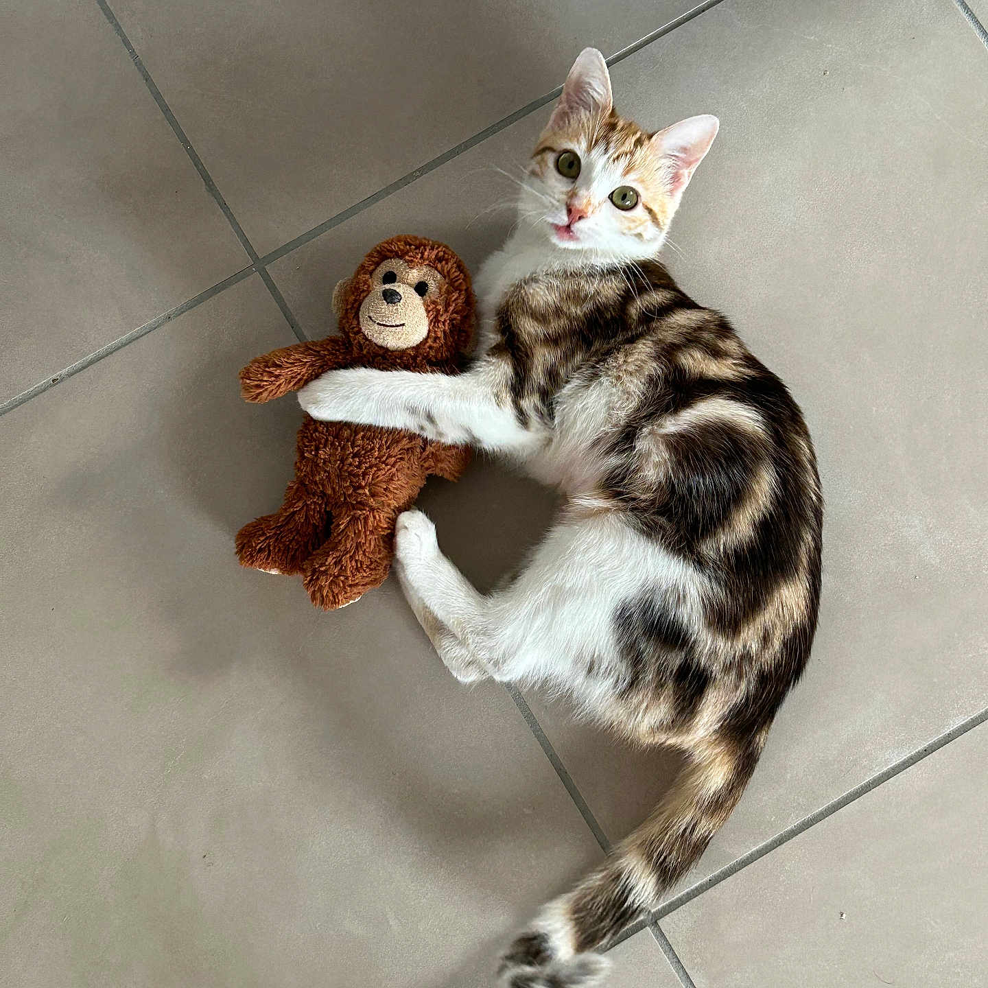 Plumette