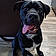Blacky