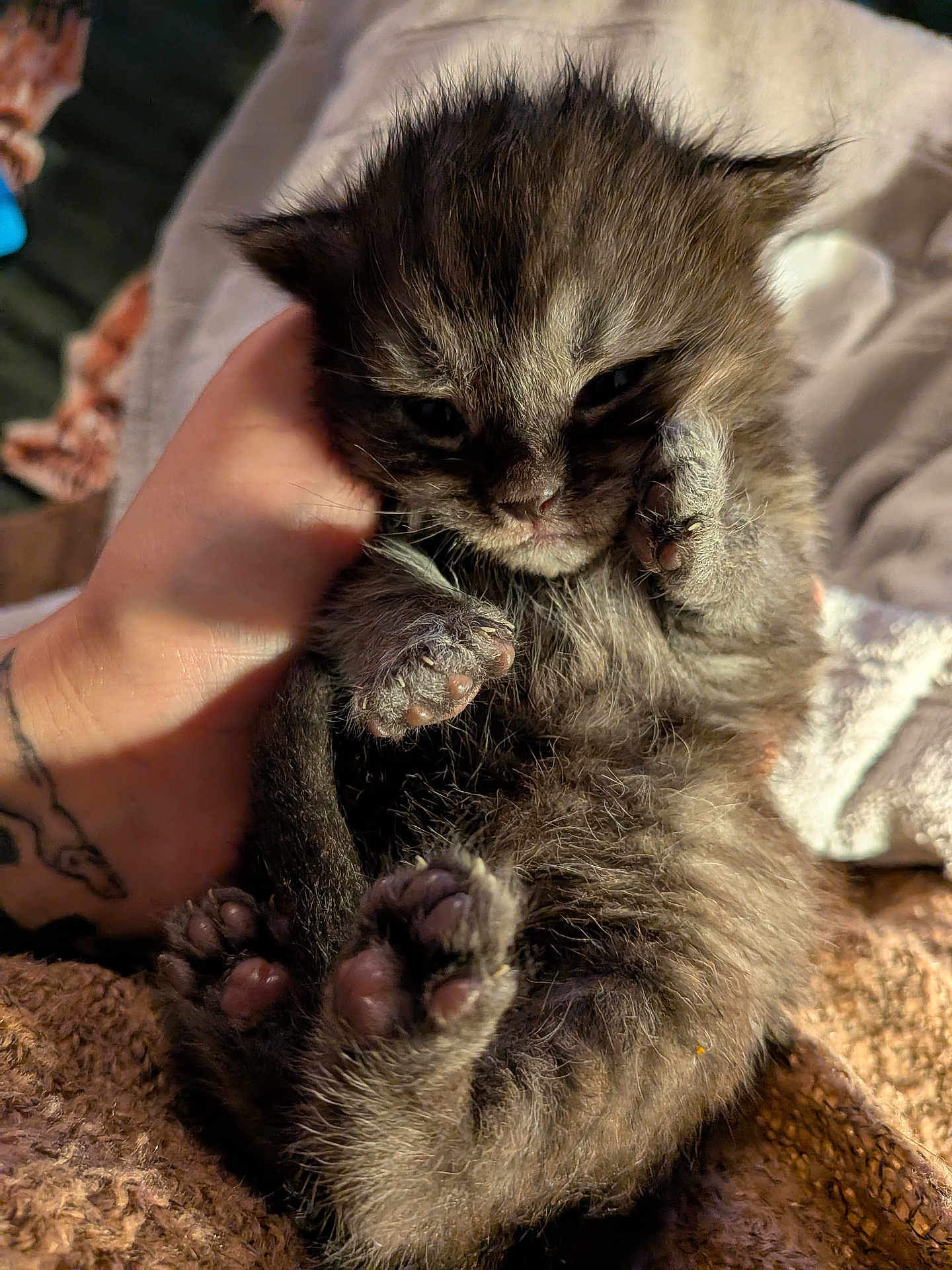Nermal