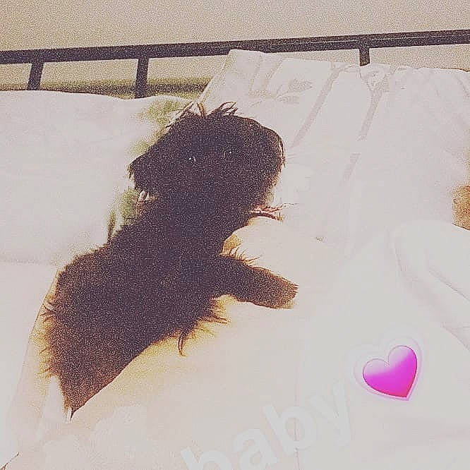 Mollie is registered to the contest to win money with this photo: fur, hair, long_hair, stain, tail, tints_and_shades