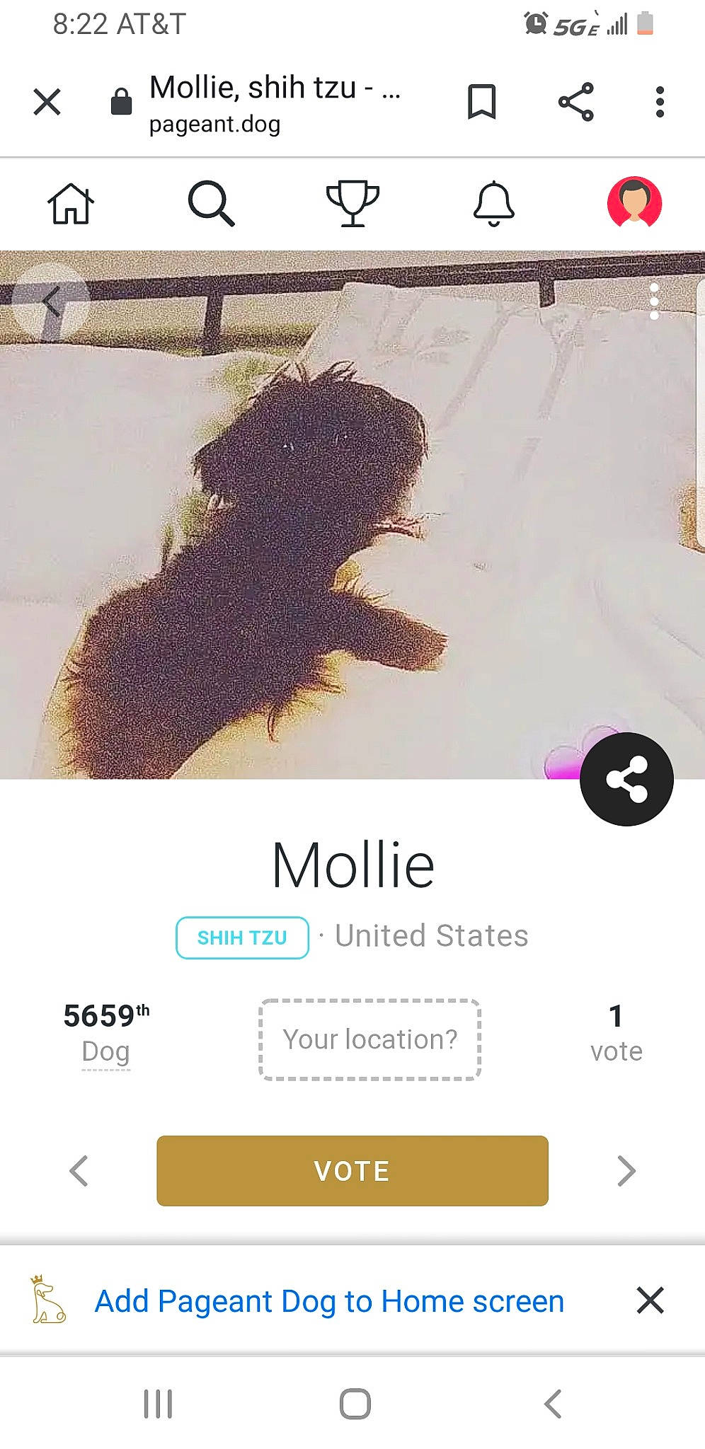 Mollie joined the competition — help win amazing prizes! font, screenshot, text