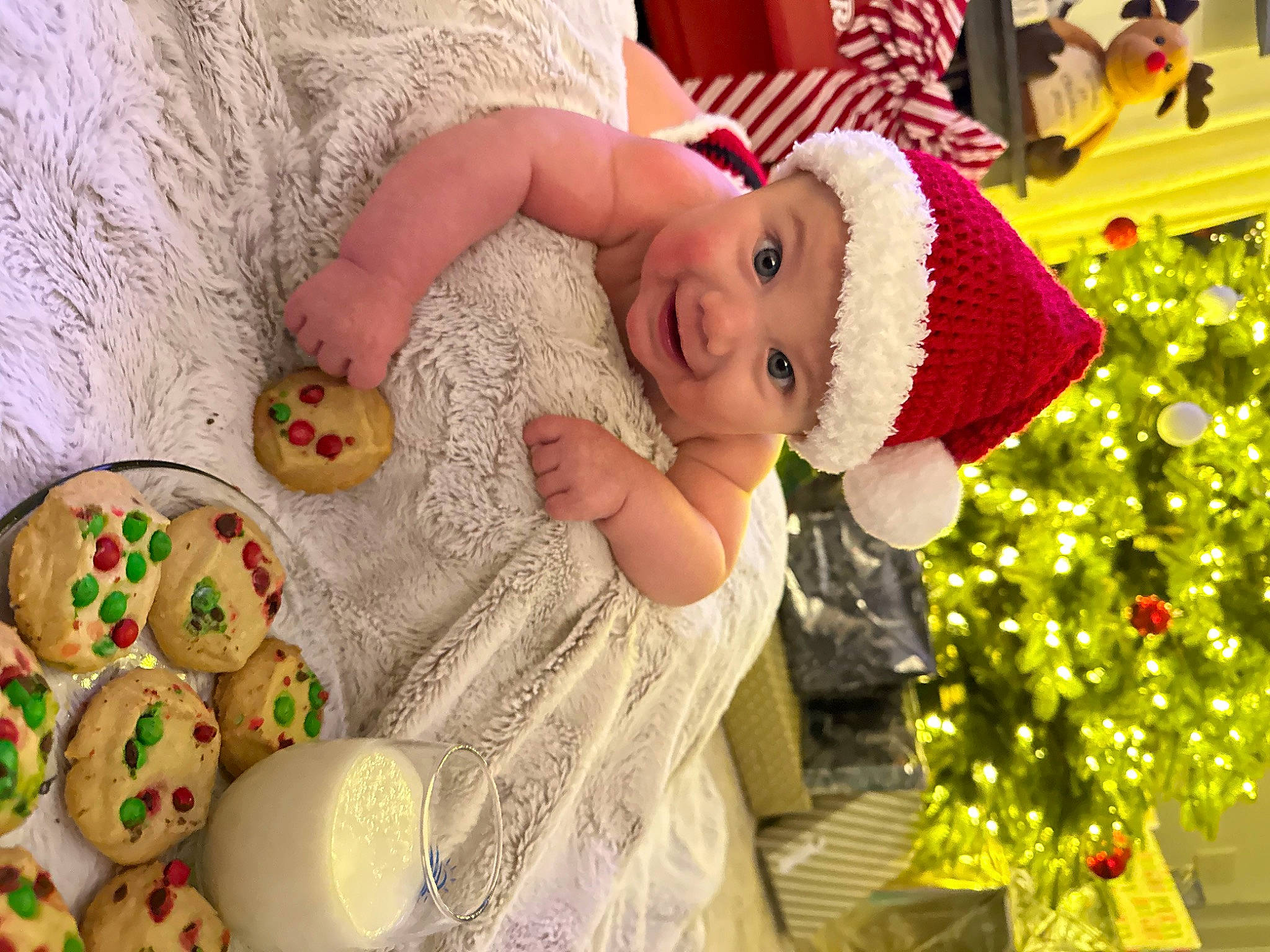 Armani joined the competition — help win amazing prizes! baby, baby_toddler_clothing, child, christmas, christmas_decoration, christmas_eve, christmas_ornament, christmas_tree, event, fun, green, happy, hat, headwear, holiday, ornament, person, plant, room, smile