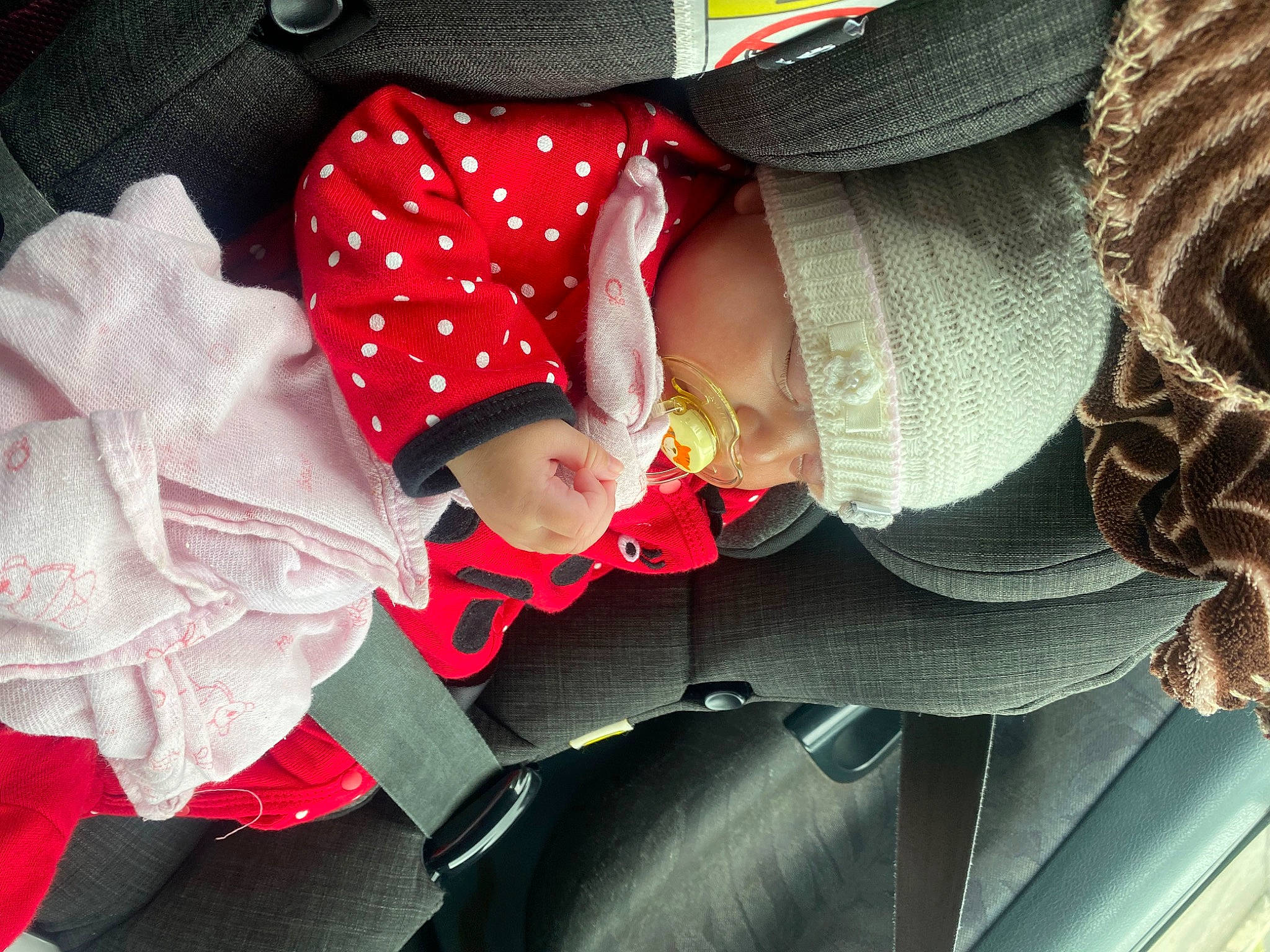 Swëlhy participe au concours pour gagner de l'argent avec cette photo : baby, baby_products, baby_toddler_clothing, carmine, child, comfort, costume_hat, fashion_accessory, happy, hat, magenta, pattern, person, petal, pink, plant, red, sitting, sleeve, toddler