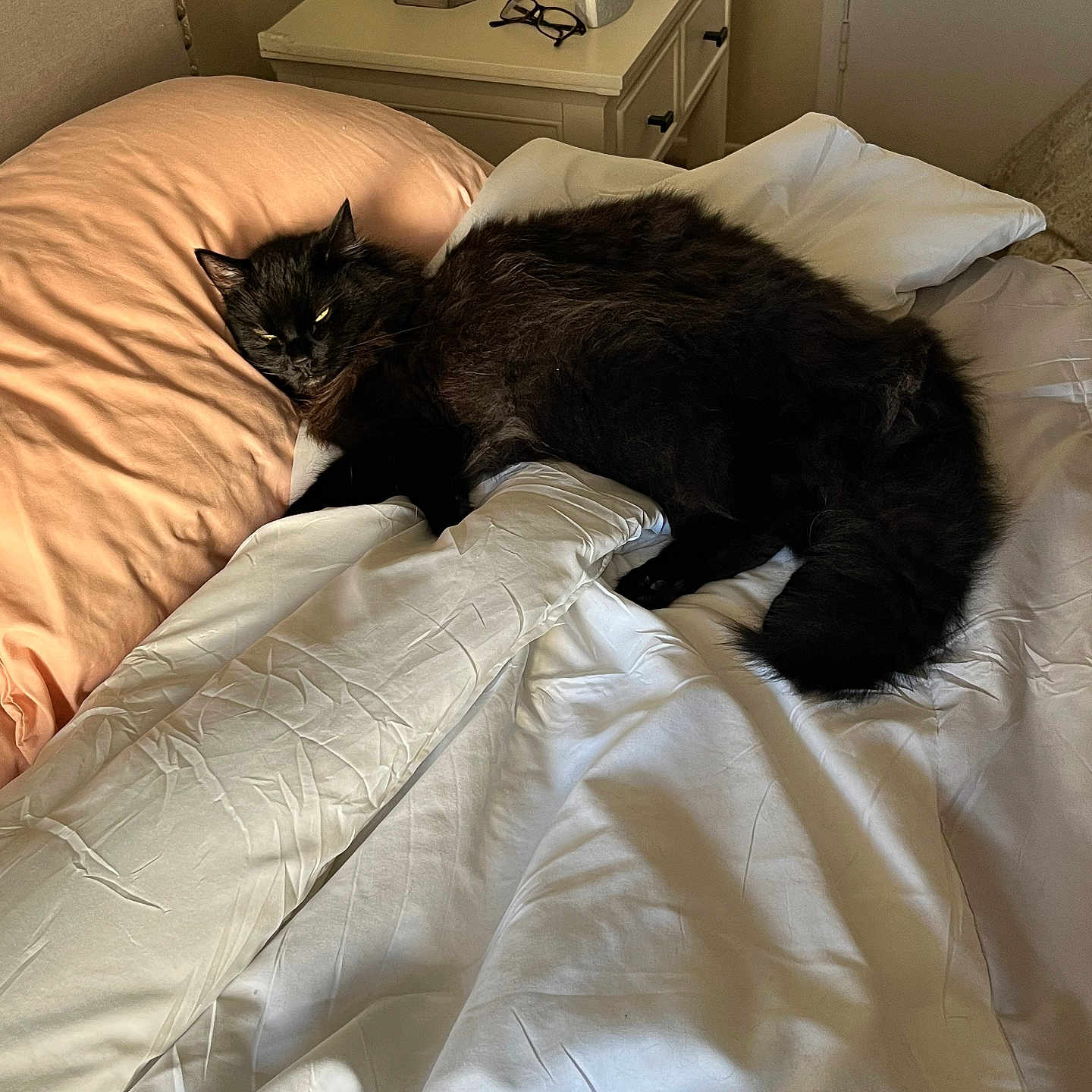 Oreo