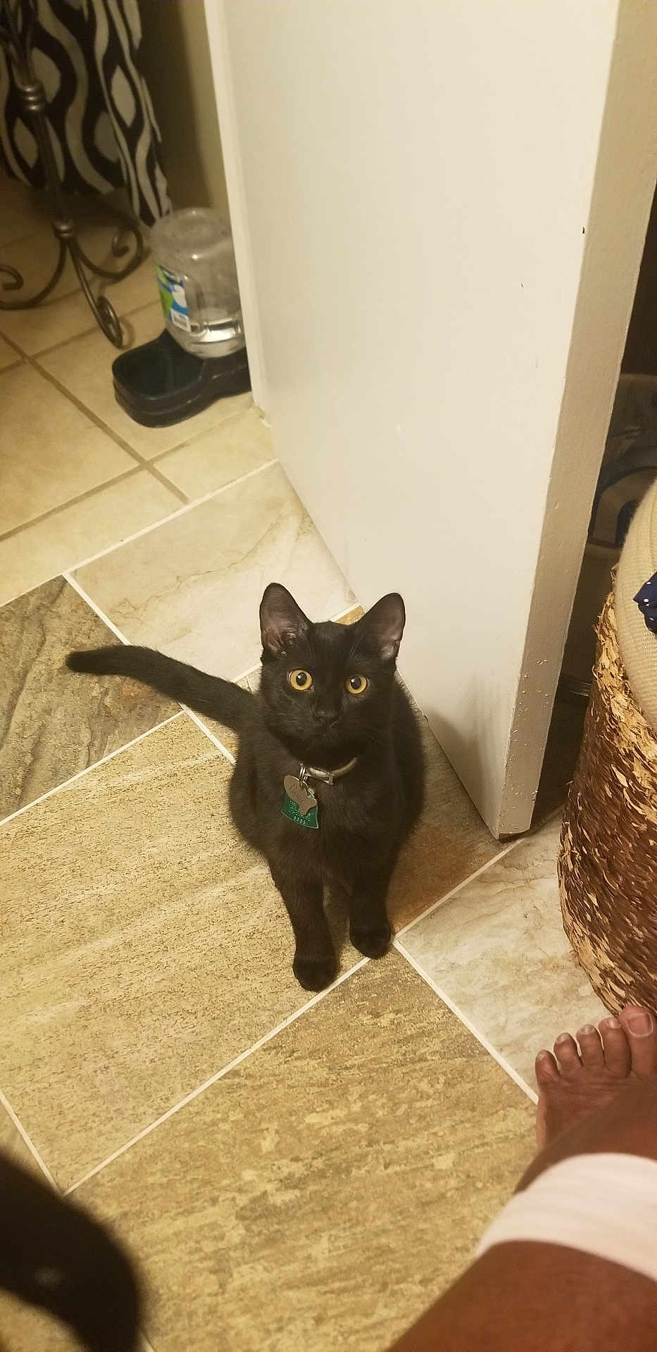 Beauregard