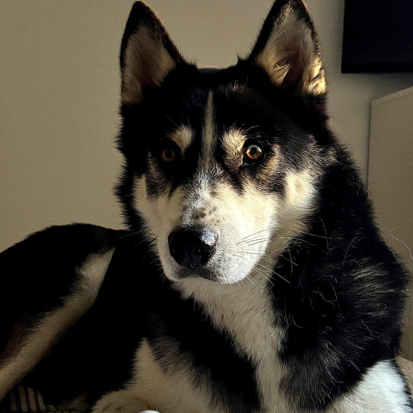 Yuki