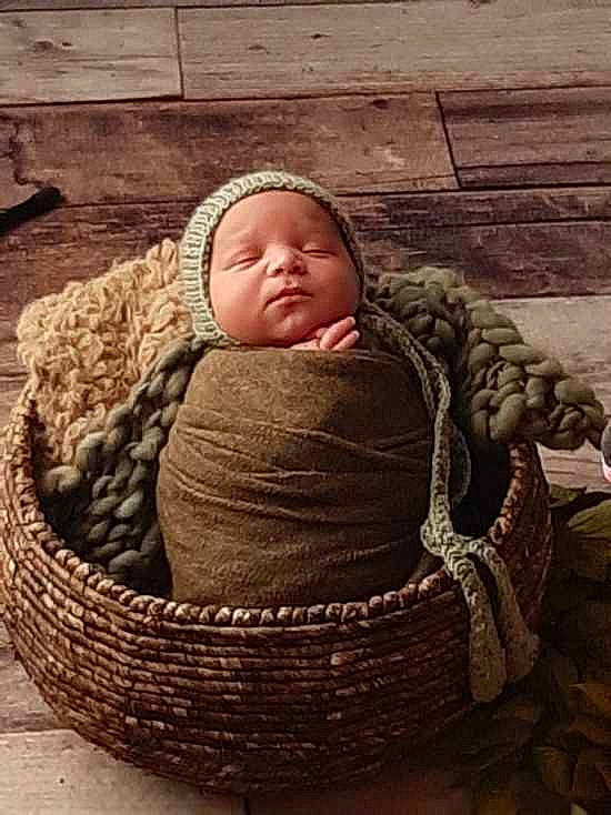 Kingston is registered to the contest to win money with this photo: baby, basket, child, person, plant, sleep, wicker