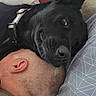 animal, bed, black_dog, casual, close_up, comfort, companion, cozy, dog, ear, friendship, head, human, indoor, person, pillow, relaxation, resting, sleeping, trust