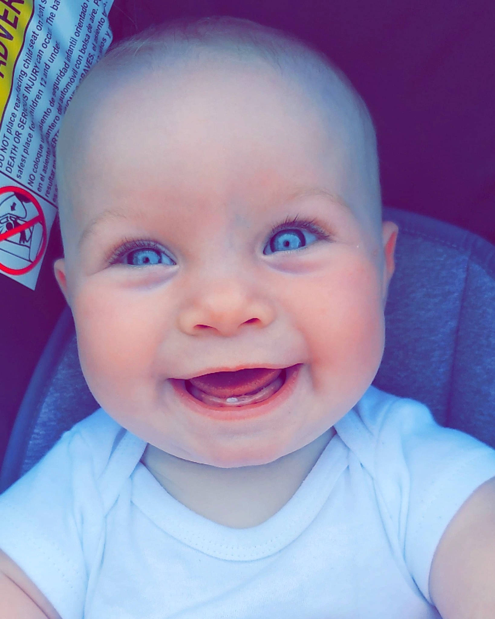 Macy joined the competition — help win amazing prizes! baby, cheek, ear, eye, eyebrow, eyelash, forehead, hairstyle, happy, iris, jaw, joy, lip, mouth, neck, nose, organ, person, purple, skin