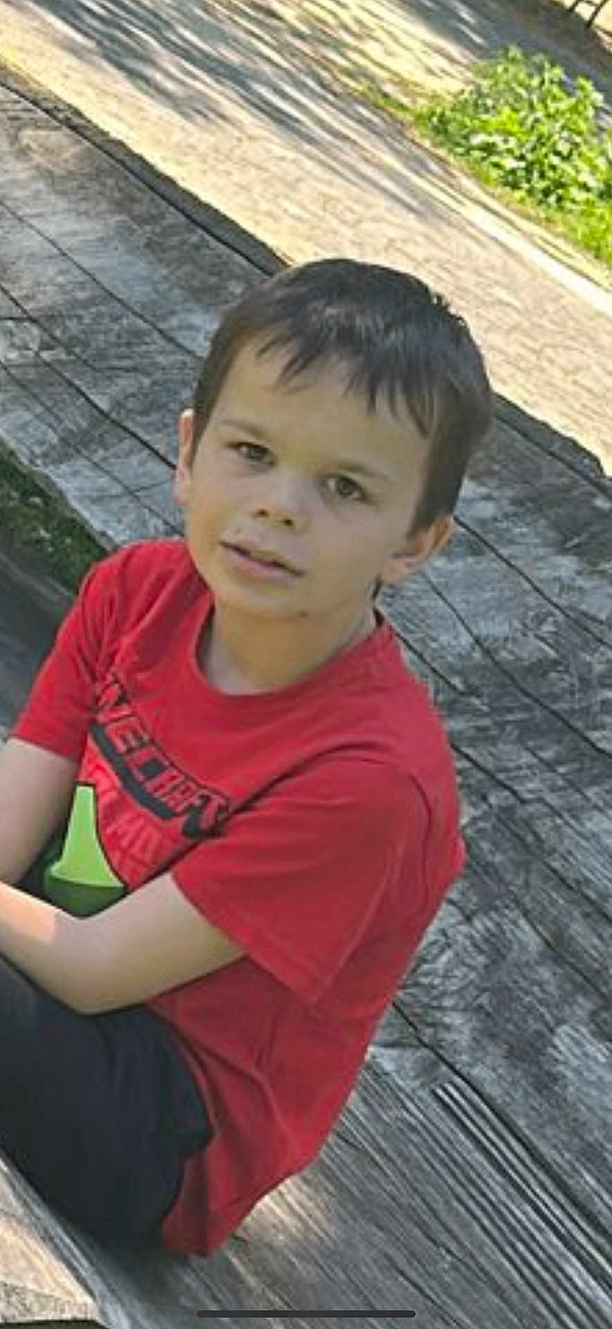 Daris participe au concours pour gagner de l'argent avec cette photo : boy, child, red_tshirt, outdoor, wooden_surface, sitting, greenery, sunlight, casual, portrait, young, person, nature, daylight, relaxed, curious, short_hair, face, expression, park