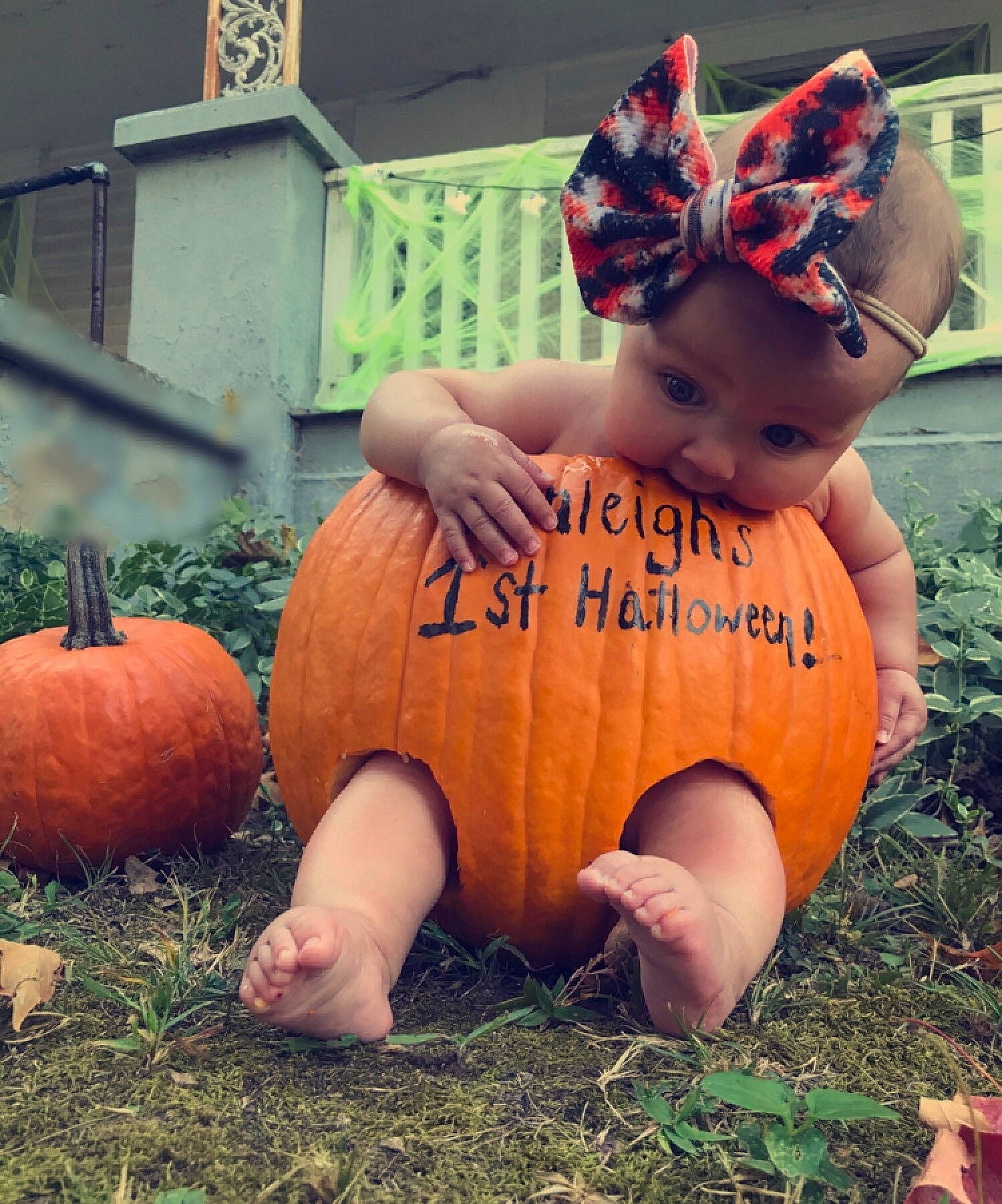 Zenleigh is registered to the contest to win money with this photo: arm, baby_toddler_clothing, calabaza, cap, cucurbita, gourd, grass, hand, happy, headwear, human_body, leaf, leg, natural_foods, orange, people_in_nature, person, plant, pumpkin, squash