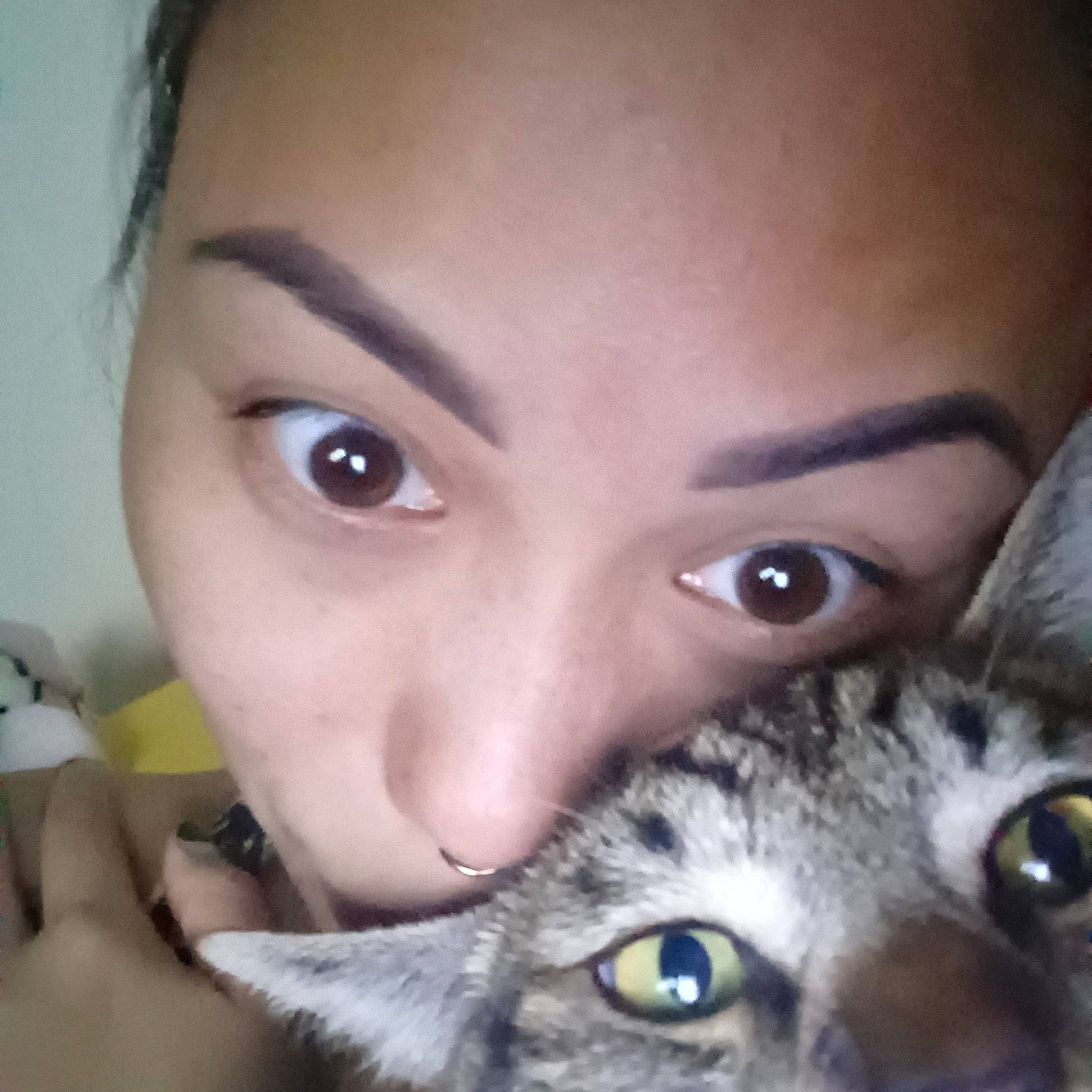 Bubba is registered to the contest to win money with this photo: carnivore, cat, close_up, domestic_short_haired_cat, ear, eyebrow, eyelash, felidae, fur, gesture, happy, iris, jaw, nail, nose, photo_caption, selfie, small_to_medium_sized_cats, snout, whiskers