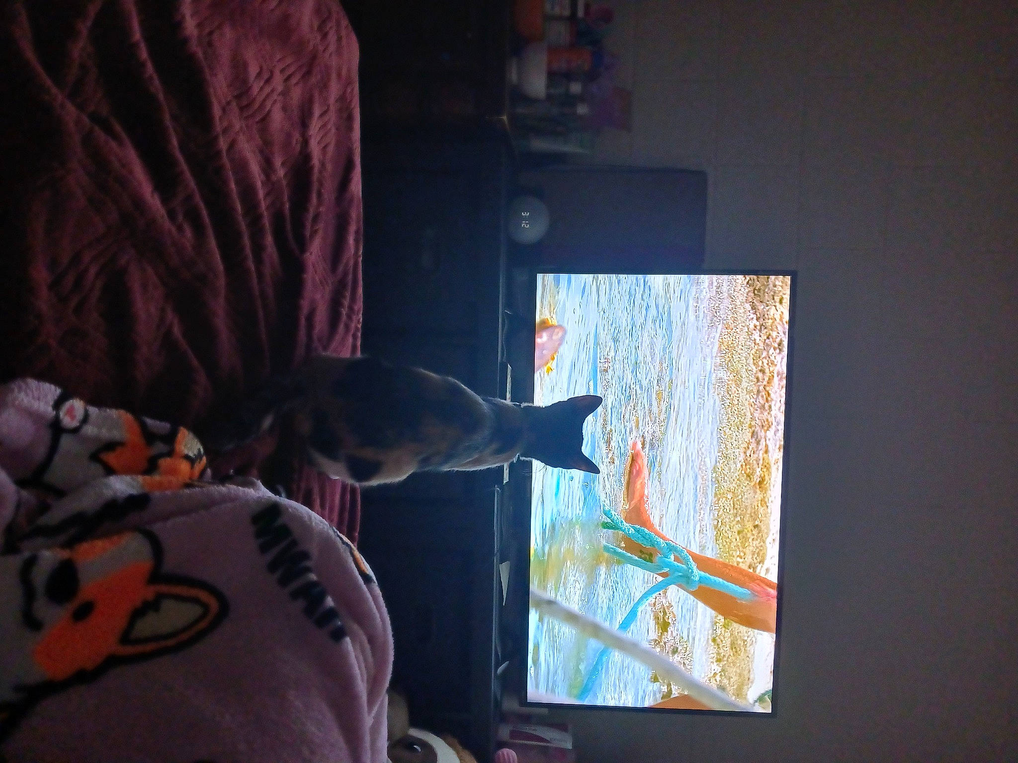 Jessie is registered to the contest to win money with this photo: animation, art, display_device, event, felidae, flat_panel_display, fur, magenta, media, multimedia, room, t_shirt, tail, television_set, tree, visual_arts, wood