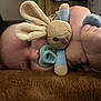 Michael is registered to the contest to win money with this photo: baby, infant, pacifier, plush_toy, bunny, soft_toy, blanket, fuzzy, hand, face, cheeks, curious, lying_down, indoor, closeup, cute, child, skin, blue, comfort