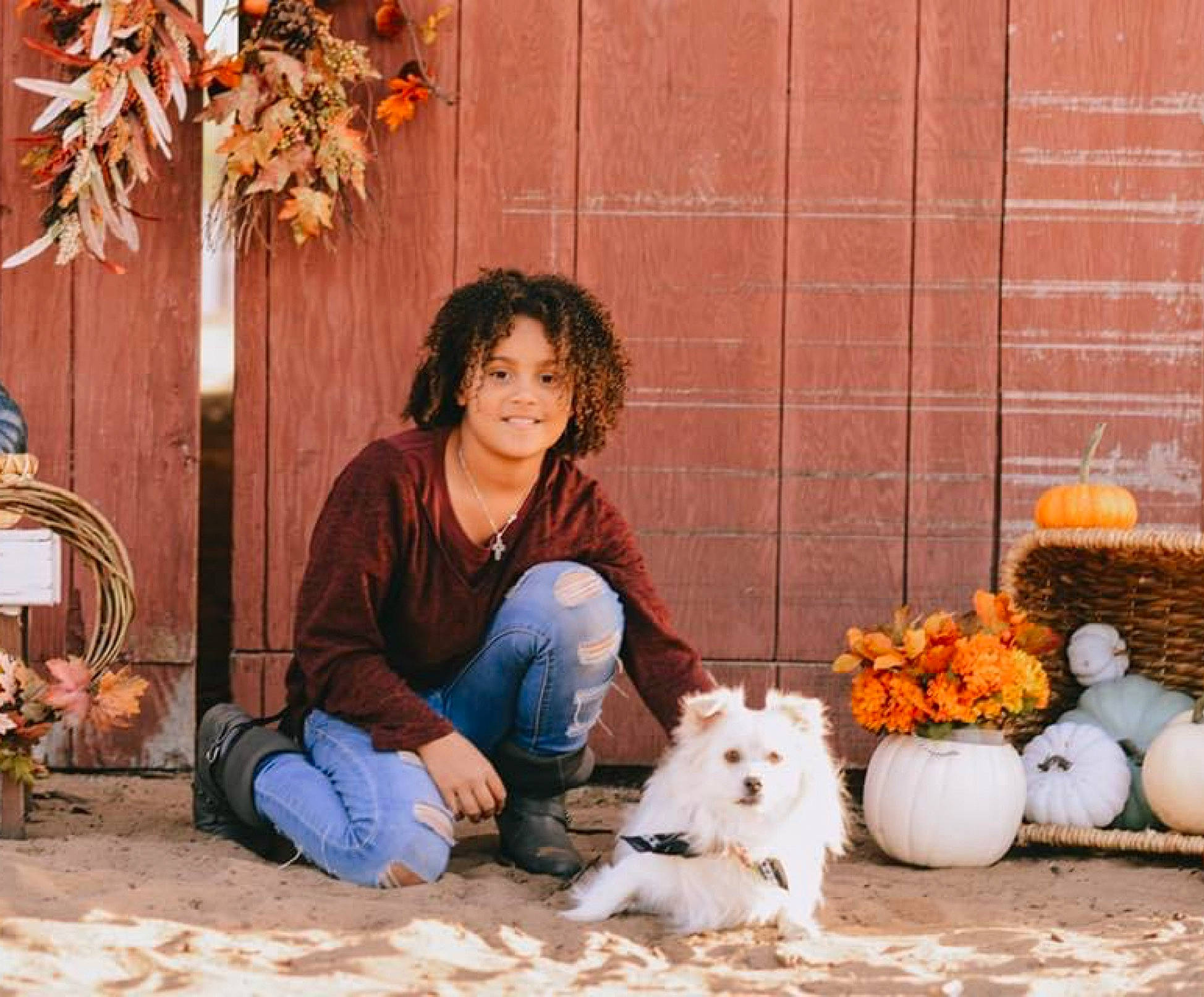 Sassy is registered to the contest to win money with this photo: ball, carnivore, companion_dog, dog, dog_breed, fawn, flooring, grass, happy, mammal, orange, people_in_nature, photograph, plant, pumpkin, shoe, smile, snapshot, spitz, toy