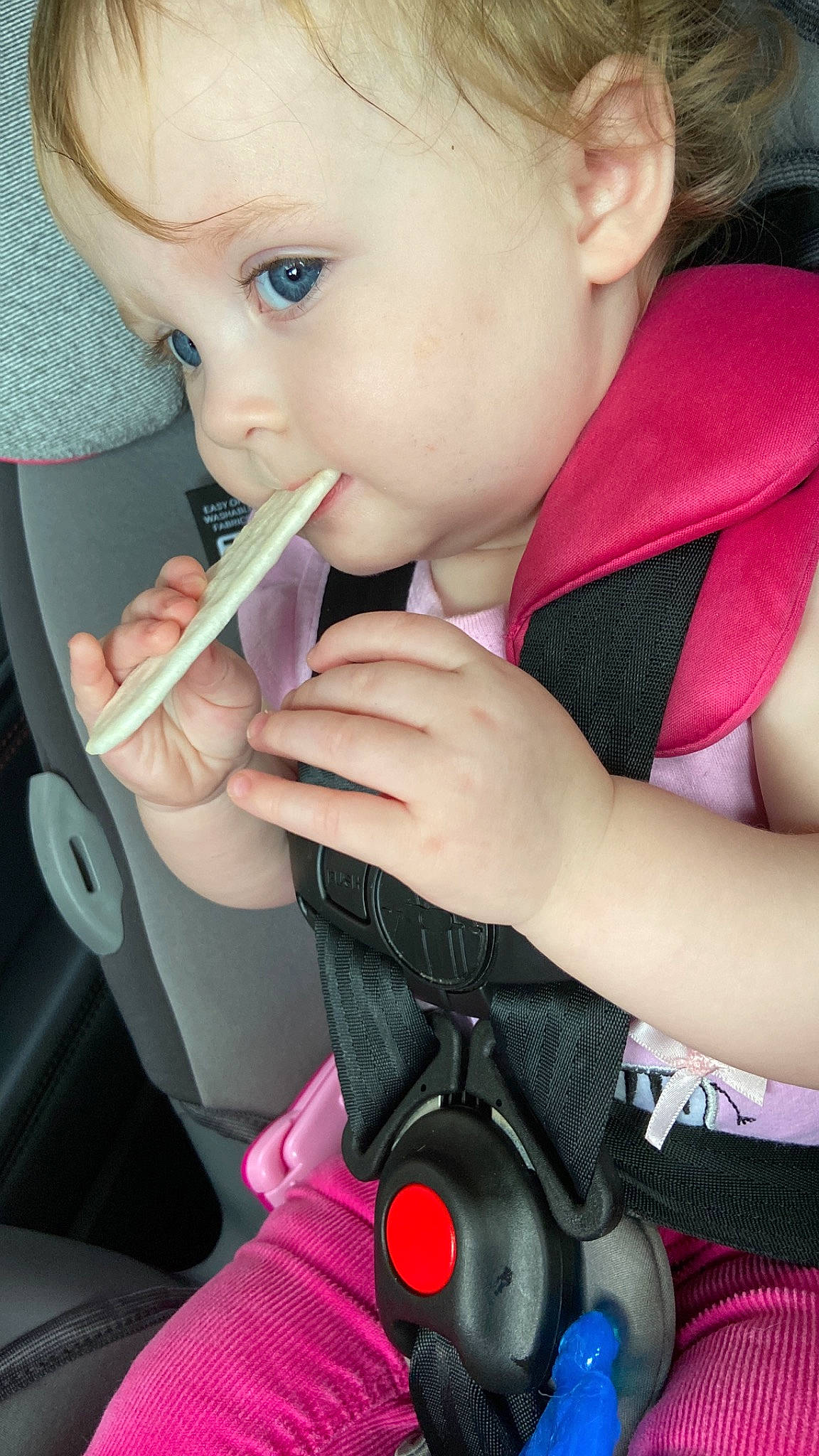 Kinslee joined the competition — help win amazing prizes! baby, cheek, ear, eye, eyelash, finger, gesture, hair, head, iris, lip, mouth, nail, nose, person, photograph, pink, seat_belt, skin, thumb