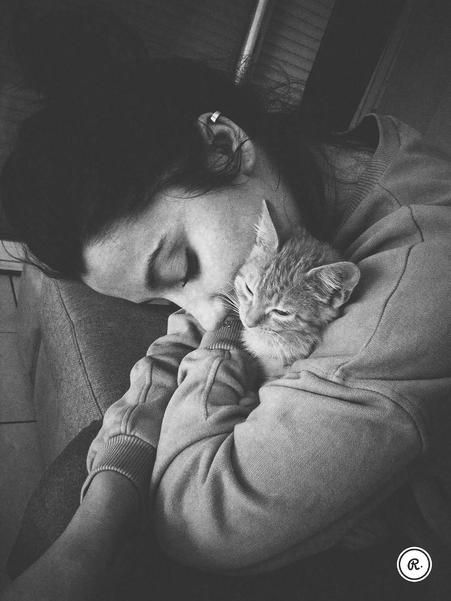 Bobo a rejoint le concours — aidez-le/la à gagner de superbes lots ! asian, black_and_white, carnivore, cat, ear, felidae, gesture, hand, human, kitten, monochrome, monochrome_photography, mouth, photograph, photography, small_to_medium_sized_cats, snapshot, style, whiskers