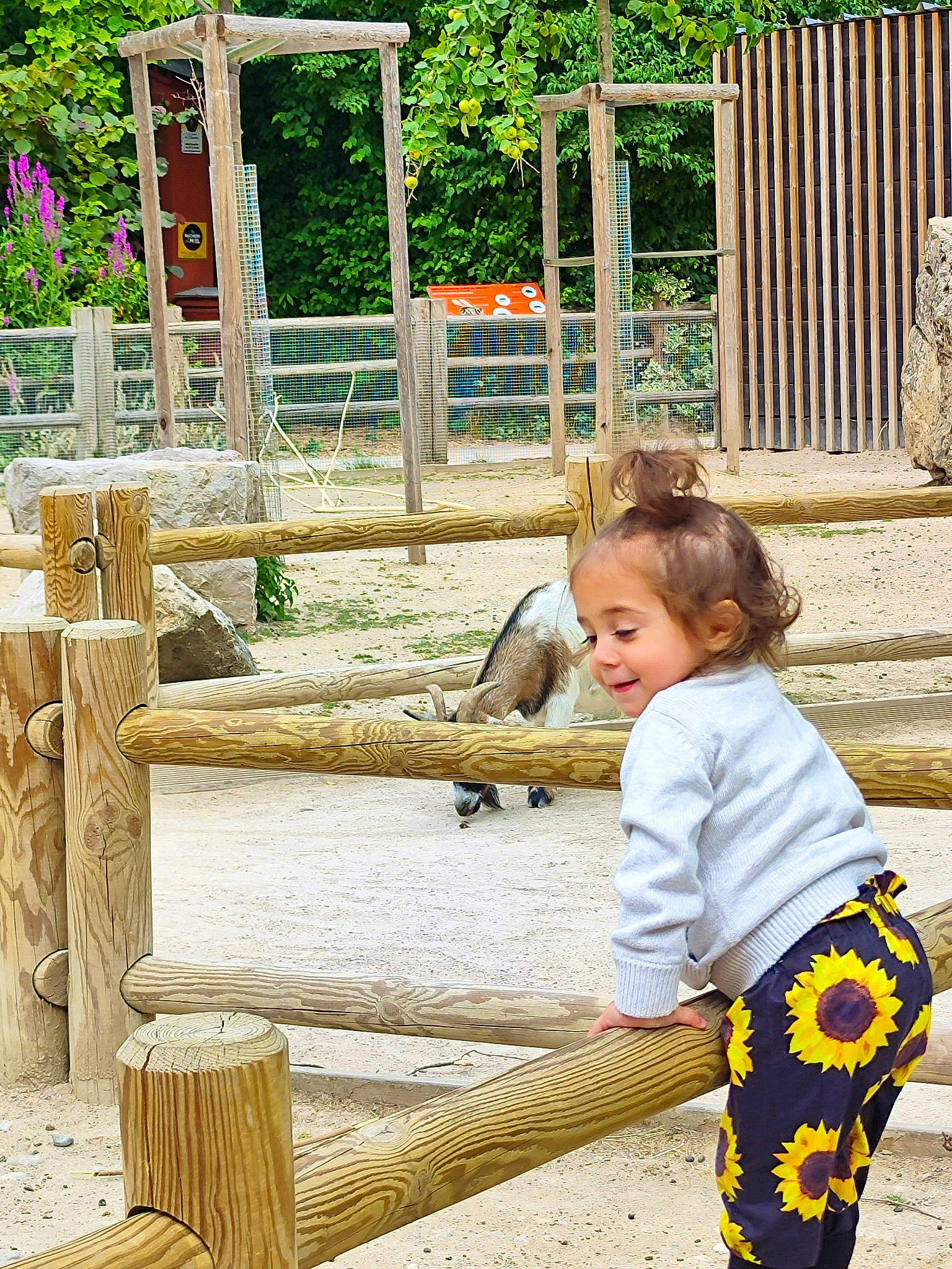 Rachele a rejoint le concours — aidez-le/la à gagner de superbes lots ! baby_toddler_clothing, botany, fence, grass, green, leisure, mammal, outdoor_furniture, people_in_nature, person, plant, public_space, sleeve, smile, split_rail_fence, summer, toddler, tree, vertebrate, wood