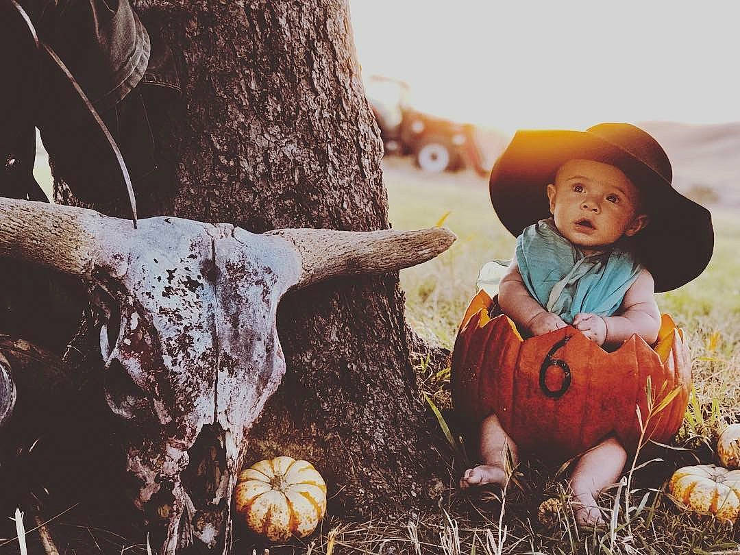 Hagen is registered to the contest to win money with this photo: autumn, calabaza, child, cucurbita, gourd, happy, people, person, plant, pumpkin, sky, smile, toddler, tree, winter_squash