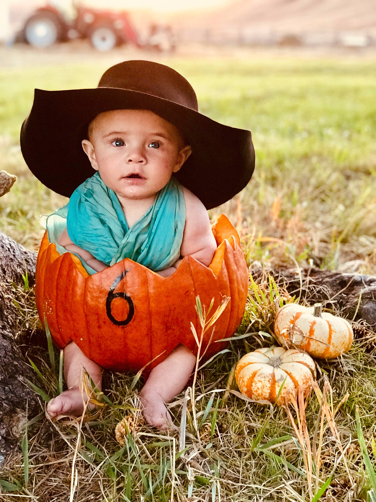 Hagen joined the competition — help win amazing prizes! autumn, baby, calabaza, child, child_model, costume, cucurbita, face, gourd, grass, happy, headgear, people_in_nature, person, photography, plant, portrait_photography, pumpkin, smile, toddler