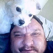 Buddy is registered to the contest to win money with this photo: affection, animal, beard, casual, closeup, companion, cute, dog, face, friendship, head, human, indoor, lying_down, man, pet, portrait, relaxed, resting, white_dog