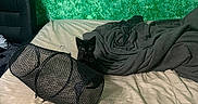 Baby Girl Arnold joined the competition — help win amazing prizes! black_kitten, blanket, bed, green_wall, poster, chair, mesh_wastebasket, curious, indoor, furniture, messy_bed, pet, animal, small_cat, resting, cozy, domestic, room, fabric, texture