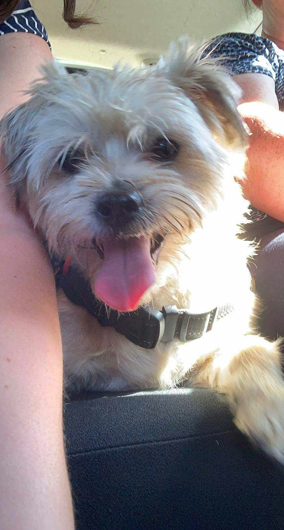 Benjy